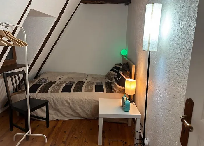 Lacouty Le Paradis! *